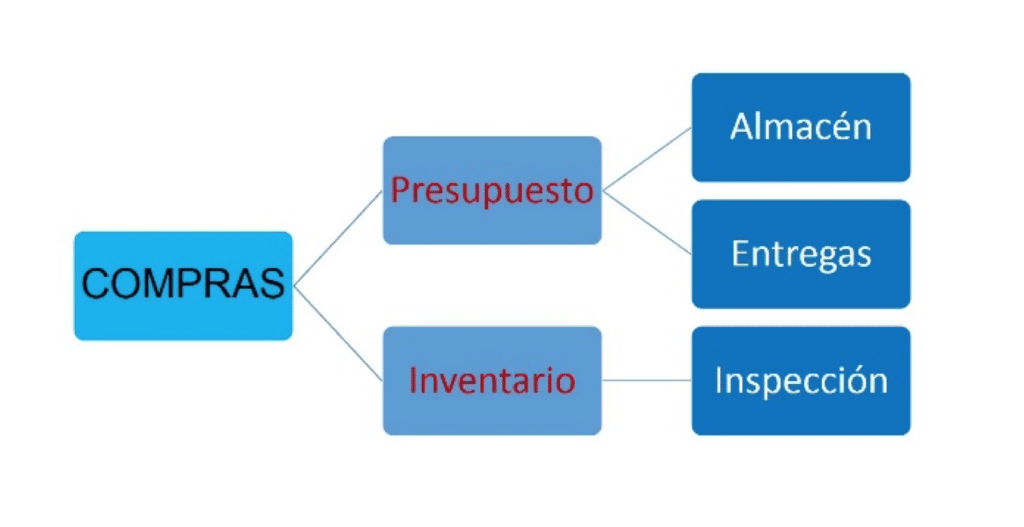 Organigrama De Una Empresa. **LAS BASES** De Tu Negocio