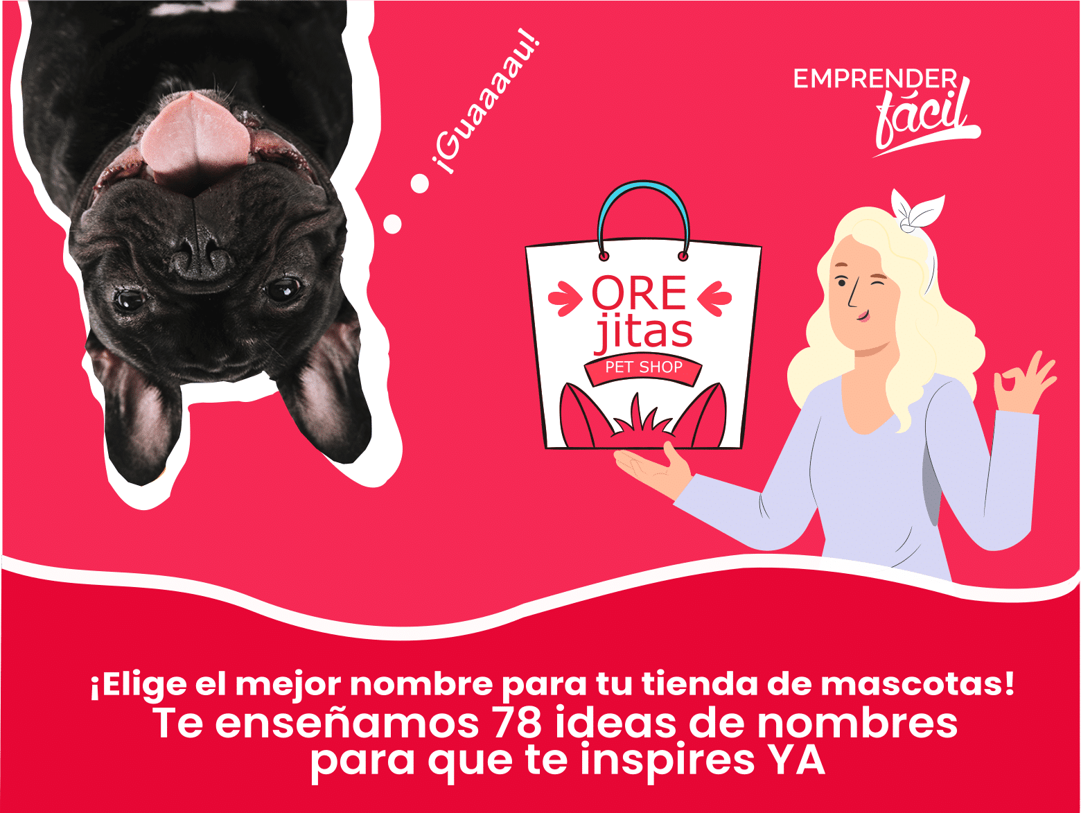 Nombres para Tiendas de Mascotas ¡Variadas opciones!